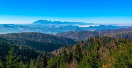 montagne verdoyante sommets enneigés